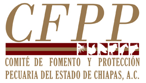 CFPP Chiapas